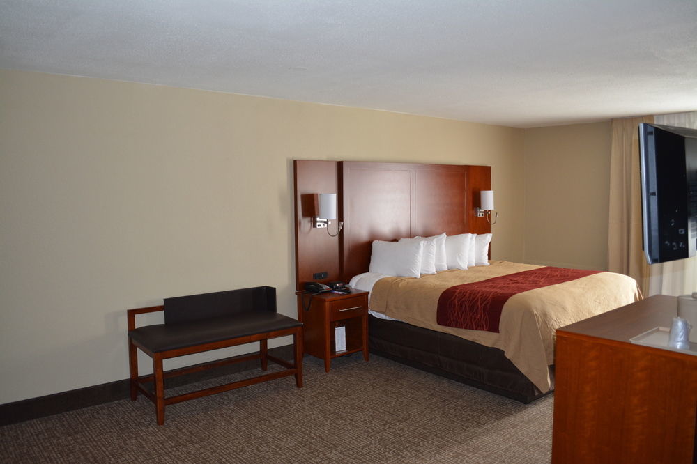 Comfort Inn Savannah Exterior photo