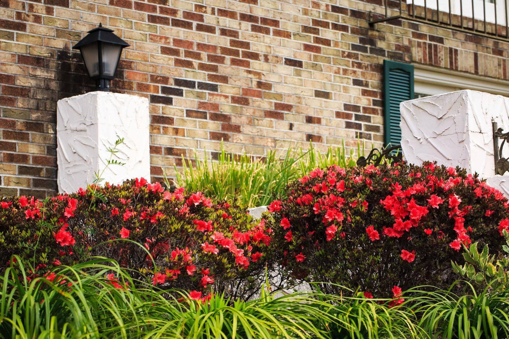 Comfort Inn Savannah Exterior photo
